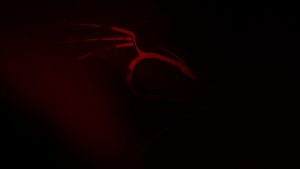 Kali Linux的主要功能插图 Kali Linux的主要功能插图